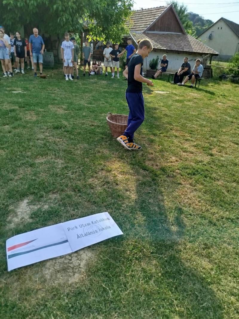 509727739_1284229150377404_4823147884027488404_n.jpg